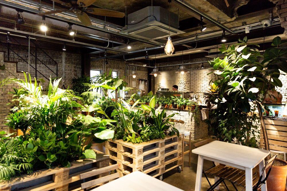 ऊरबन प्लांट कैफ़े का इंटीरियर, हरे पौधों और प्राकृतिक रोशनी का मिश्रण, एक आरामदायक माहौल।